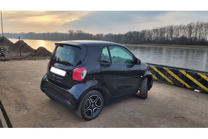 Smart ForTwo Gebrauchtwagen