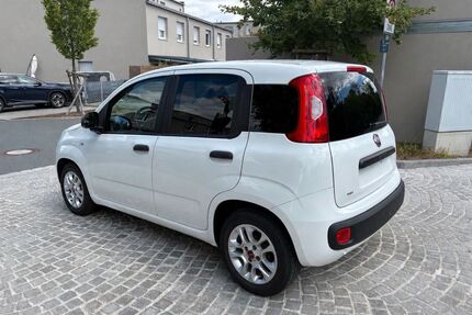Fiat New Panda Gebrauchtwagen