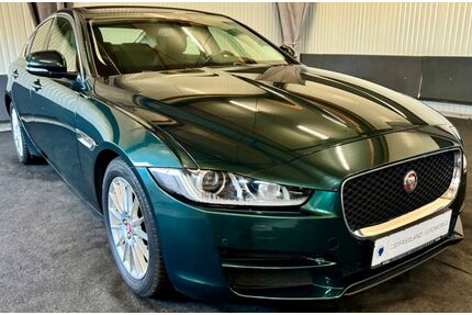 Jaguar XE Gebrauchtwagen
