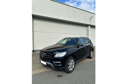Mercedes-Benz ML 250 Gebrauchtwagen