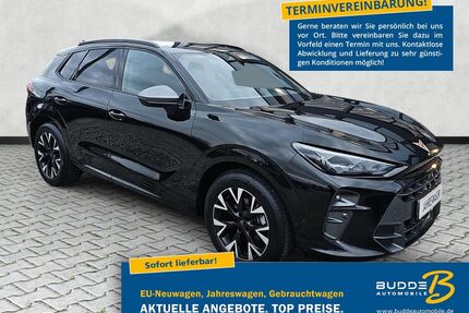 Cupra Terramar Gebrauchtwagen