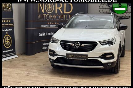 Opel Grandland (X) Gebrauchtwagen