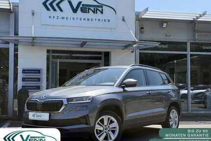 Skoda Karoq Gebrauchtwagen