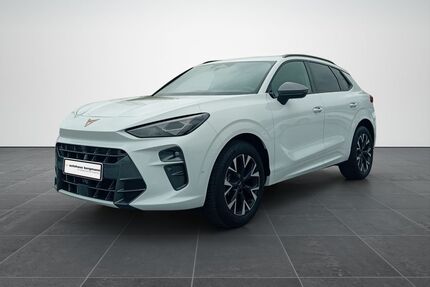 Cupra Terramar Gebrauchtwagen