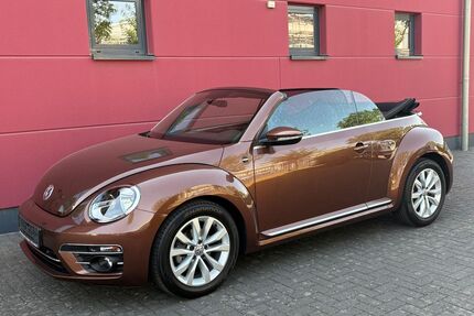 VW Beetle Gebrauchtwagen