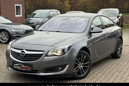 Opel Insignia Gebrauchtwagen