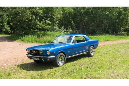 Ford Mustang Gebrauchtwagen