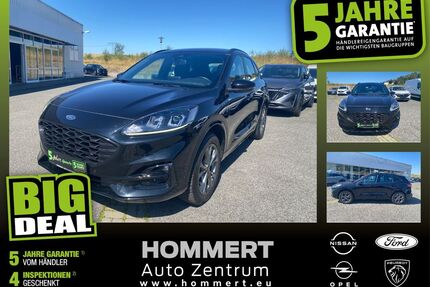 Ford Kuga Gebrauchtwagen