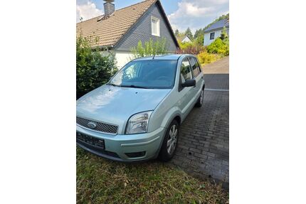 Ford Fusion Gebrauchtwagen