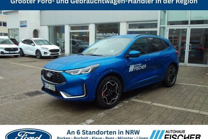 Ford Kuga Gebrauchtwagen