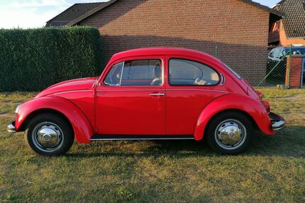 VW Käfer Gebrauchtwagen