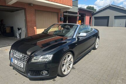Audi S5 Gebrauchtwagen