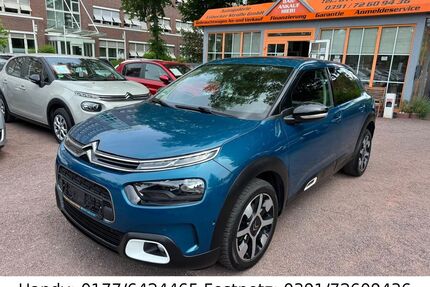 Citroen C4 Cactus Gebrauchtwagen