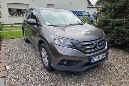 Honda CR-V Gebrauchtwagen