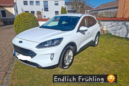 Ford Kuga Gebrauchtwagen