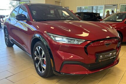 Ford Andere Gebrauchtwagen