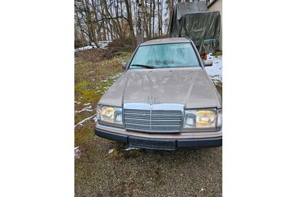 Mercedes-Benz 220 Gebrauchtwagen