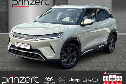 BYD ATTO 2 Gebrauchtwagen