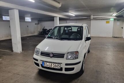 Fiat Panda Gebrauchtwagen