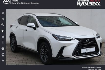 Lexus NX 450h Gebrauchtwagen