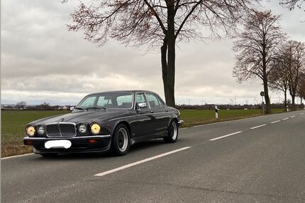 Jaguar XJ12 Gebrauchtwagen