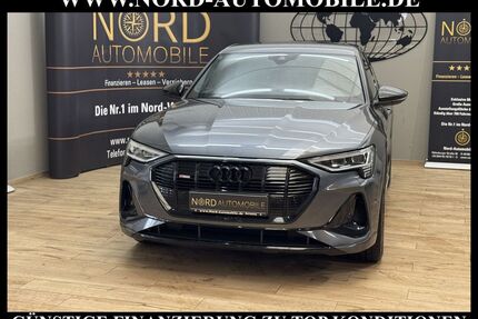 Audi e-tron Gebrauchtwagen