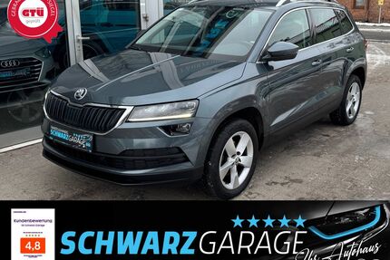 Skoda Karoq Gebrauchtwagen