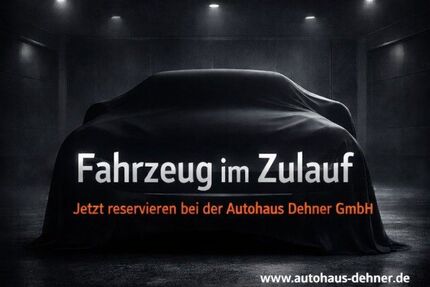 Renault Scenic Gebrauchtwagen