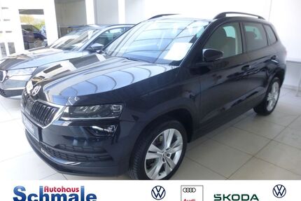 Skoda Karoq Gebrauchtwagen