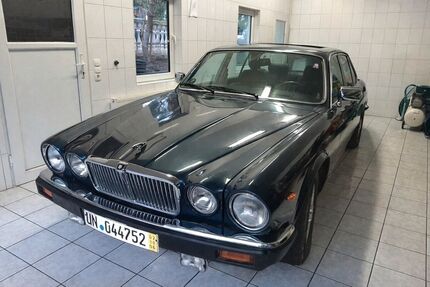 Jaguar XJ12 Gebrauchtwagen
