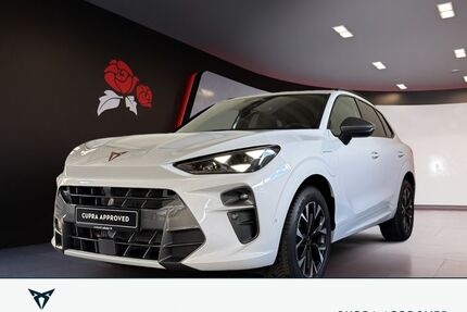 Cupra Terramar Gebrauchtwagen