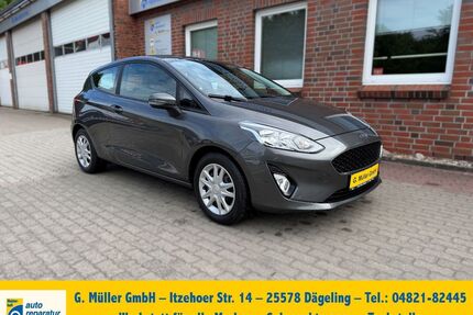 Ford Fiesta Gebrauchtwagen