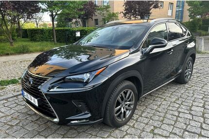 Lexus NX 300 Gebrauchtwagen