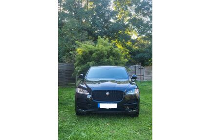 Jaguar F-Pace Gebrauchtwagen