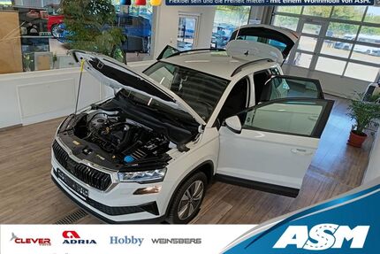 Skoda Karoq Gebrauchtwagen