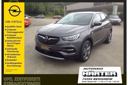 Opel Grandland (X) Gebrauchtwagen