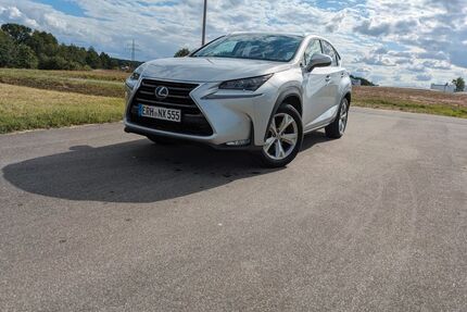 Lexus NX 300 Gebrauchtwagen