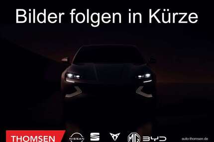 Ford EcoSport Gebrauchtwagen