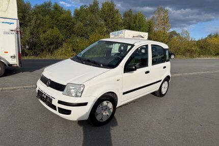 Fiat Panda Gebrauchtwagen