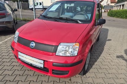 Fiat Panda Gebrauchtwagen