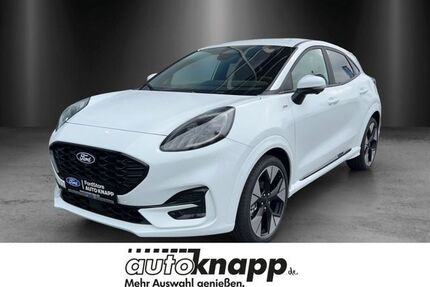 Ford Puma Gebrauchtwagen