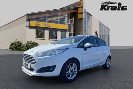 Ford Fiesta Gebrauchtwagen