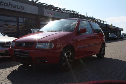 VW Polo Gebrauchtwagen