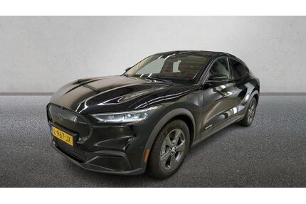 Ford Mustang Mach-E Gebrauchtwagen