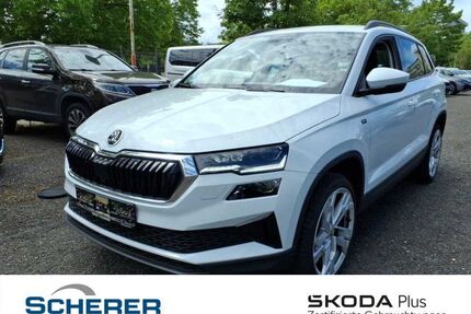 Skoda Karoq Gebrauchtwagen