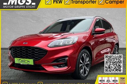 Ford Kuga Gebrauchtwagen