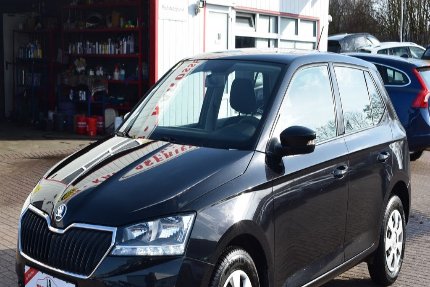 Skoda Fabia Gebrauchtwagen