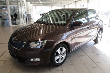 Skoda Fabia Gebrauchtwagen