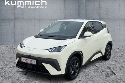 BYD DOLPHIN SURF Gebrauchtwagen