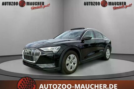 Audi e-tron Gebrauchtwagen
